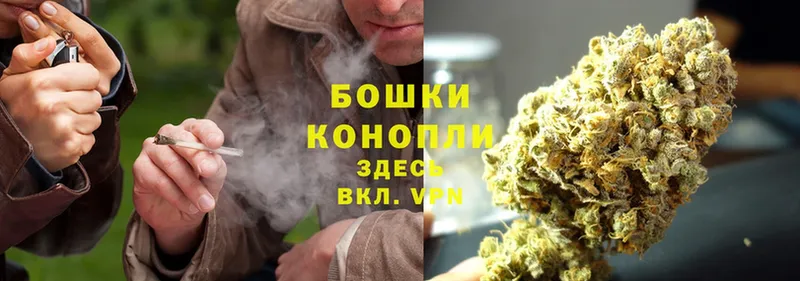 Каннабис White Widow  Балашов 